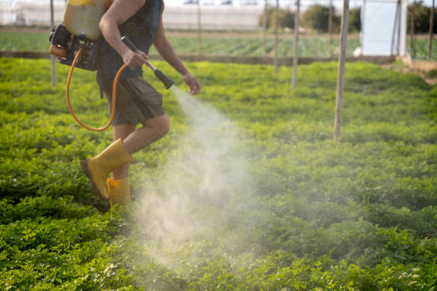 Best Pest Control for Restaurants  in Blacksburg, SC