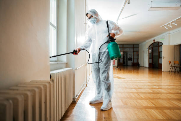 Reliable Blacksburg, SC Pest Control Solutions