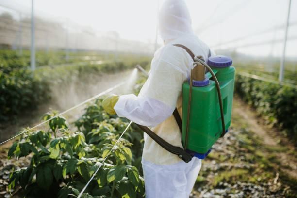 Best Bed Bug Extermination  in Blacksburg, SC